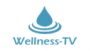 Destination TV: Wellness  TV